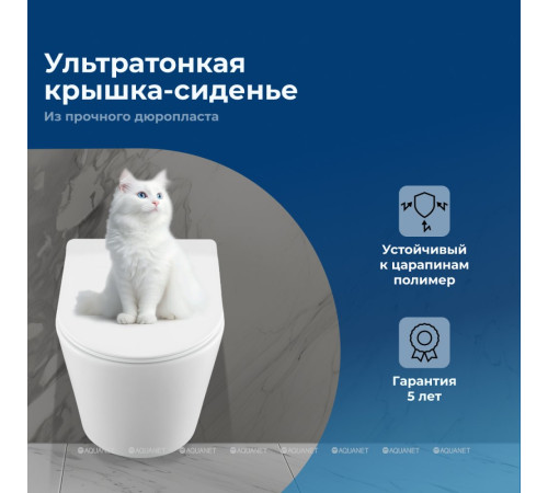 Унитаз подвесной Aquanet Cetus W Short Tornado сиденье Slim Soft Close CETUS W Short T