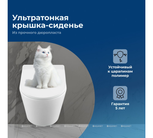 Унитаз подвесной Aquanet Atago W Short Tornado с сиденьем Soft Close Slim 332173