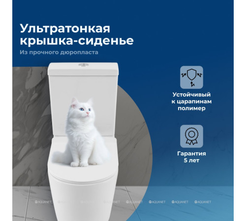 Чаша напольного унитаза Aquanet ZVEZDA-2 C1 с сиденьем Soft Close ZV-2-C1