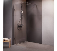 Душевая перегородка AM.PM Walk In 80x195 см W94WI-80-F1-MTE