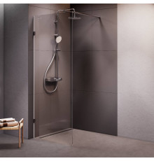 Душевая перегородка AM.PM Walk In 80x195 см W94WI-80-F1-MTE