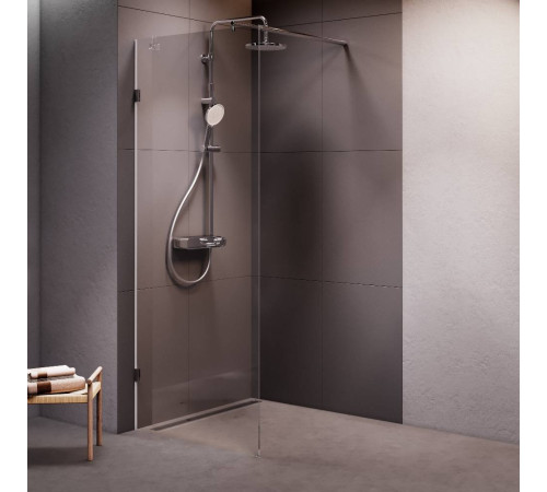 Душевая перегородка AM.PM Walk In 80x195 см W94WI-80-F1-MTE