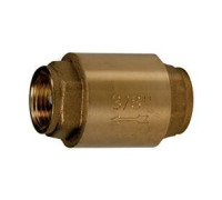 Клапан обратный дисковый Giacomini R60 1 ВВ PN16 R60Y005