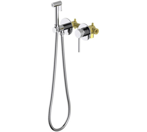 Комплект для гигиенического душа Aquanet Европа AQ1319CR встроенный хром AQ1319CR