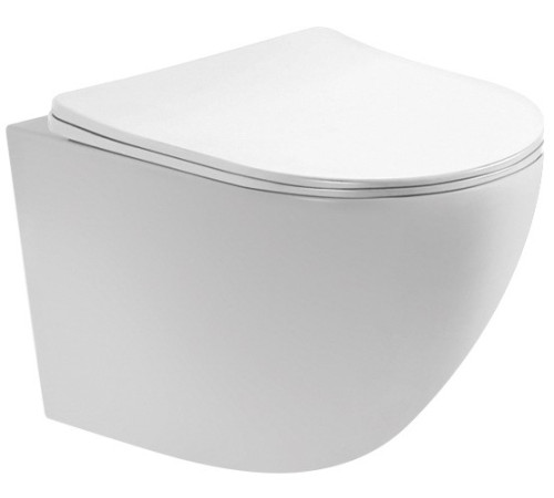 Унитаз подвесной безободковый Aquanet Европа 490x360x320 мм с сиденьем микролифт AQ1900-00