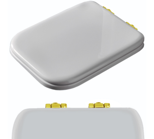 Комплект шарниров с микролифтом для сиденья Kerasan Waldorf 418701/418740 золото R108A16