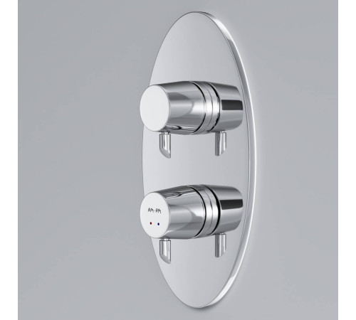 Смеситель для душа AM.PM Spirit с термостатом F1590000