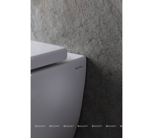 Унитаз подвесной Allen Brau INFINITY 1 Rimless 510x360 мм без сиденья 4.21004.20