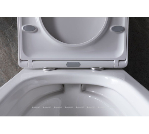 Унитаз подвесной Allen Brau INFINITY 1 Rimless 510x360 мм без сиденья 4.21004.20