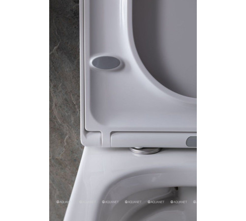 Унитаз подвесной Allen Brau INFINITY 1 Rimless 510x360 мм без сиденья 4.21004.20