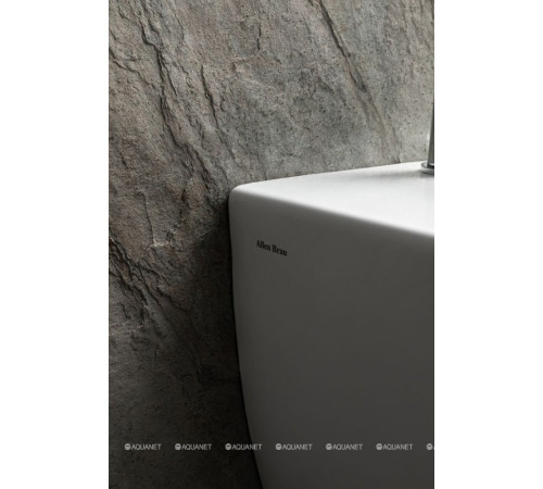 Биде подвесное Allen Brau Priority 515x365 мм белый 4.31012.20