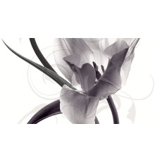 Панно Ceradim Pulsar C 25x45 см КПН16PulsarC