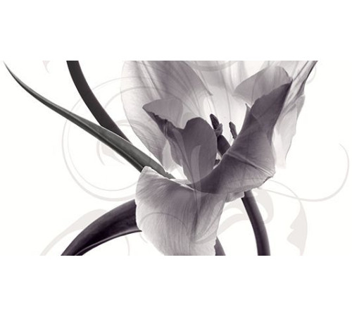 Панно Ceradim Pulsar C 25x45 см КПН16PulsarC