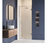 Душевая дверь RGW Hotel HO-011 800 мм хром 350601108-11