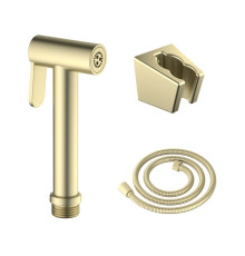 Гигиенический душ со шлангом 120 см и держателем Aquanet шлифованное золото AQ2054BG