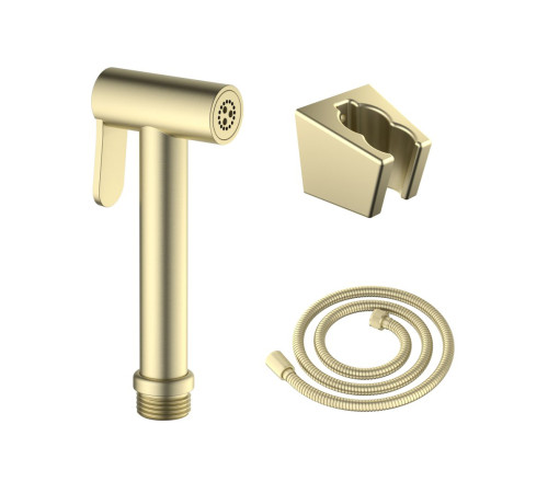 Гигиенический душ со шлангом 120 см и держателем Aquanet шлифованное золото AQ2054BG