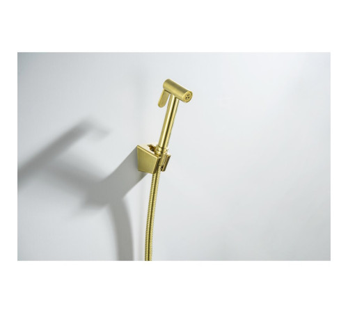 Гигиенический душ со шлангом 120 см и держателем Aquanet шлифованное золото AQ2054BG