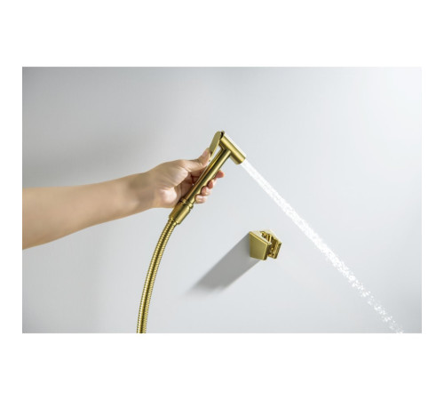 Гигиенический душ со шлангом 120 см и держателем Aquanet шлифованное золото AQ2054BG