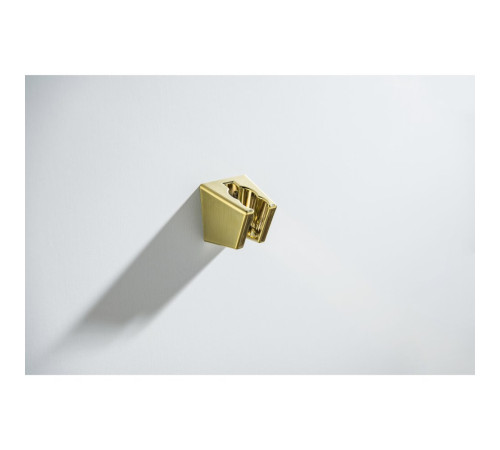 Гигиенический душ со шлангом 120 см и держателем Aquanet шлифованное золото AQ2054BG