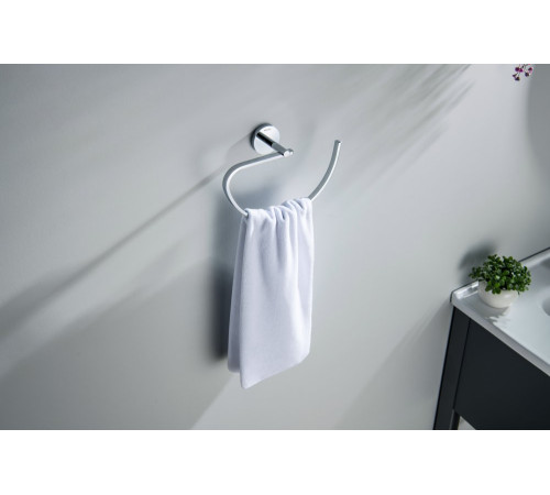 Полотенцедержатель овальный Aquanet БЕТТА хром AQ4621CR