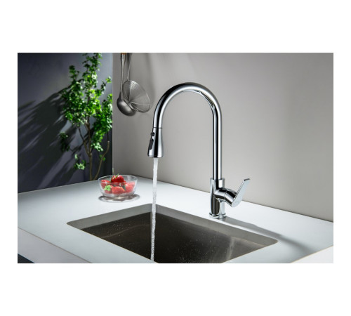 Смеситель для кухни Aquanet Лугано с вытяжным изливом 2jet хром AQ1784CR