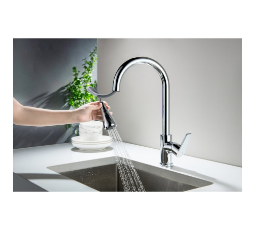 Смеситель для кухни Aquanet Лугано с вытяжным изливом 2jet хром AQ1784CR