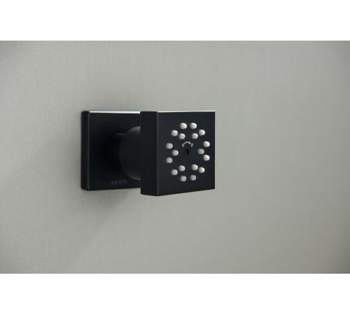 Форсунка боковая Aquanet 50x50 мм матовый черный AQ2098MB
