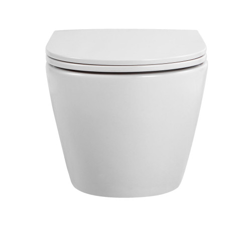 Унитаз подвесной безободковый Aquatek Европа 525х360х320 мм с сиденьем микролифт AQ1901-00