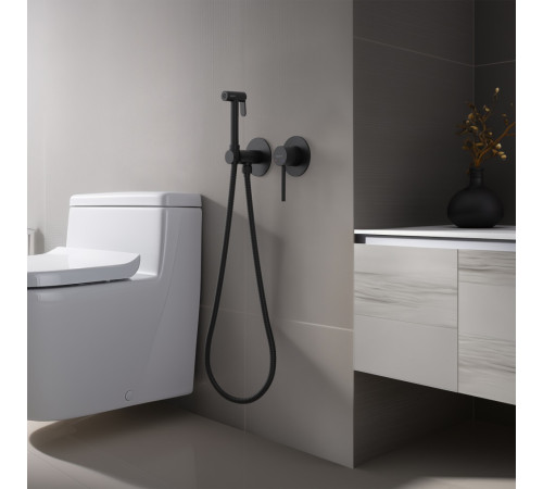 Комплект для гигиенического душа Aquanet Европа AQ1319MB встроенный матовый черный AQ1319MB