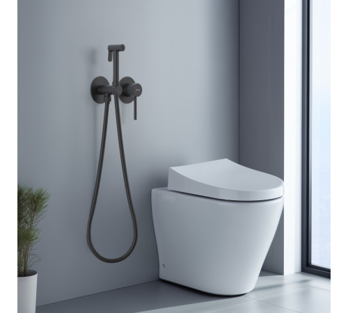 Комплект для гигиенического душа Aquanet Европа AQ1319MB встроенный матовый черный AQ1319MB