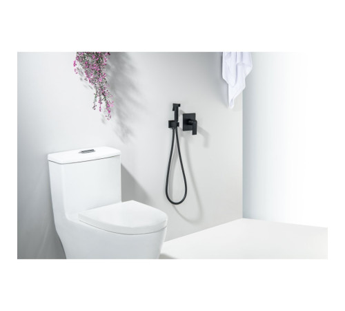 Набор с гигиеническим душем Aquanet Либра (смеситель, лейка, шланг, держатель) матовый черный AQ1619MB