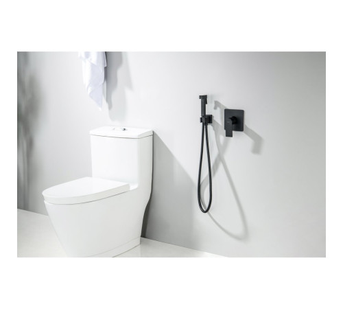 Набор с гигиеническим душем Aquanet Либра (смеситель, лейка, шланг, держатель) матовый черный AQ1619MB