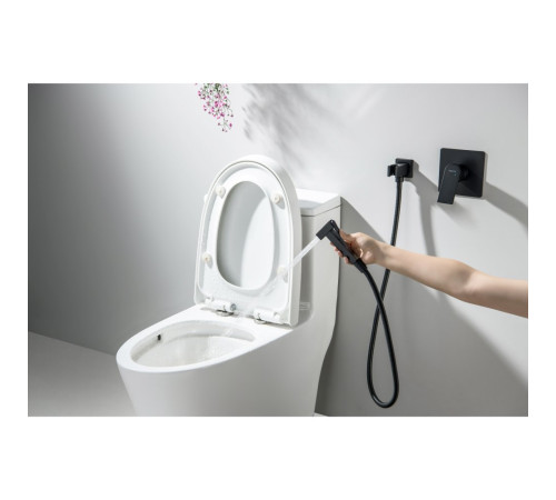 Набор с гигиеническим душем Aquanet Либра (смеситель, лейка, шланг, держатель) матовый черный AQ1619MB