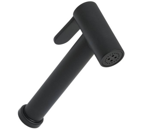 Гигиеническая лейка Allen Brau Priority черный матовый 5.31028-31