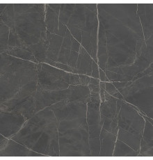 Керамогранит Kerama Marazzi Буонарроти серый темный обрезной 60х60 см SG642920R