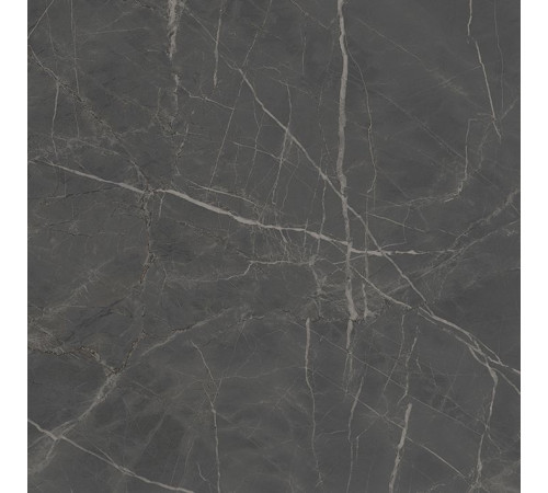 Керамогранит Kerama Marazzi Буонарроти серый темный обрезной 60х60 см SG642920R