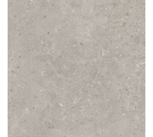 Керамогранит Kerama Marazzi Риккарди серый светлый матовый обрезной 60x60 см SG653720R