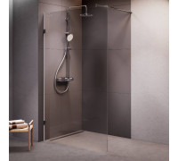 Душевая перегородка AM.PM Walk In 120x195 см W94WI-120-F1-MTE