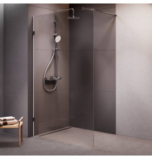 Душевая перегородка AM.PM Walk In 120x195 см W94WI-120-F1-MTE