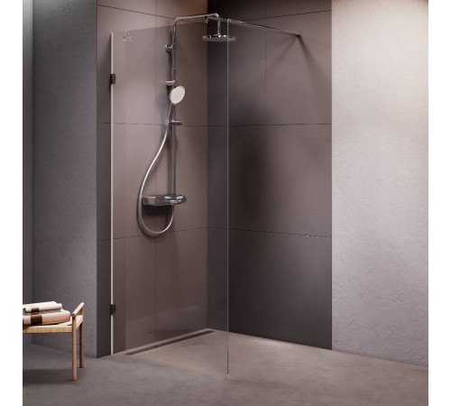 Душевая перегородка AM.PM Walk In 90x195 см W94WI-90-F1-MTE