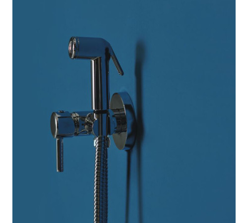 Гигиенический набор Ideal Standard Idealspray настенный шланг 150 см хром BD130AA