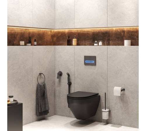 Комплект инсталляция с подвесным унитазом AM.PM CK70GH