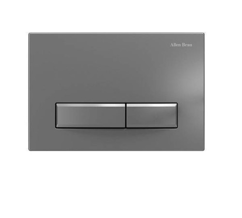 Клавиша смыва Allen Brau Fantasy 24.5x16.5 см серебро 9.20003.MG