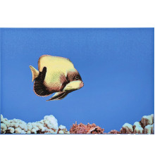 Декор Atem Mono Fish 1 275х400 мм 13689097