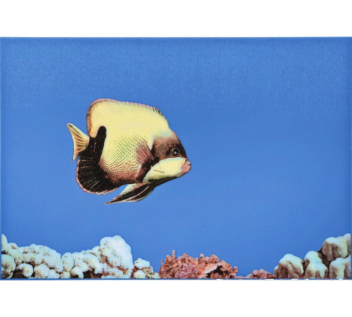 Декор Atem Mono Fish 1 275х400 мм 13689097