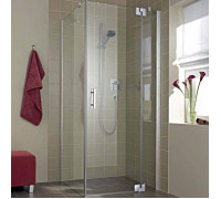 Уголок душевой Kermi Filia XP 900x800x2000 мм серебро прозрачное стекло FX 1WR 09020 VPK / FX TWD 08020 VPK