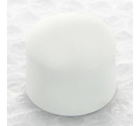 Заглушка полипропиленовая Pro Aqua 20 мм PA15008P