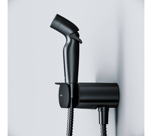 Смеситель встраиваемый с гигиеническим душем и полкой AM.PM Like черный матовый F0202622