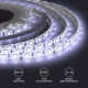Лента светодиодная Apeyron Electrics 259BL