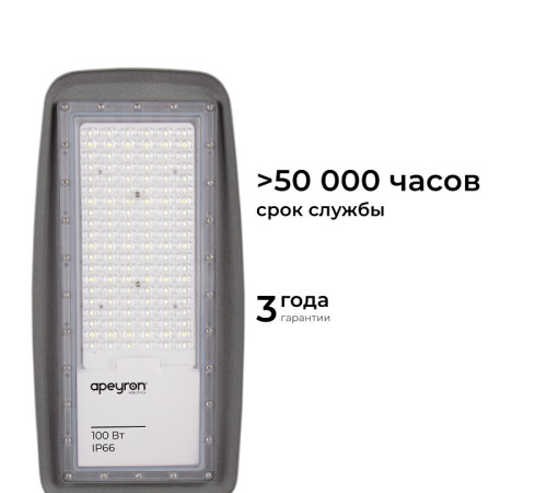 Светильник консольный уличный Apeyron Electrics 100 Вт 29-11